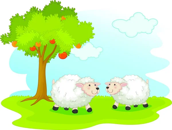 Illustrazione Delle Pecore — Vettoriale Stock