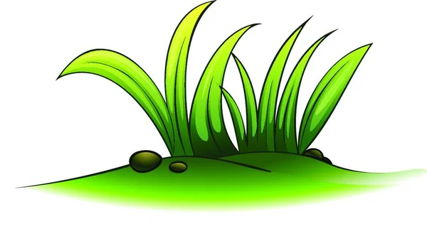Vektorgrafik Für Grüne Pflanzen — Stockvektor