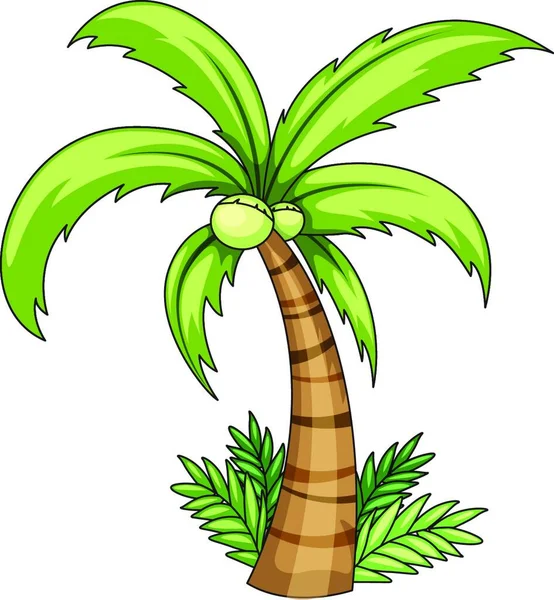 Vektorová Ilustrace Kokosové Palmy — Stockový vektor