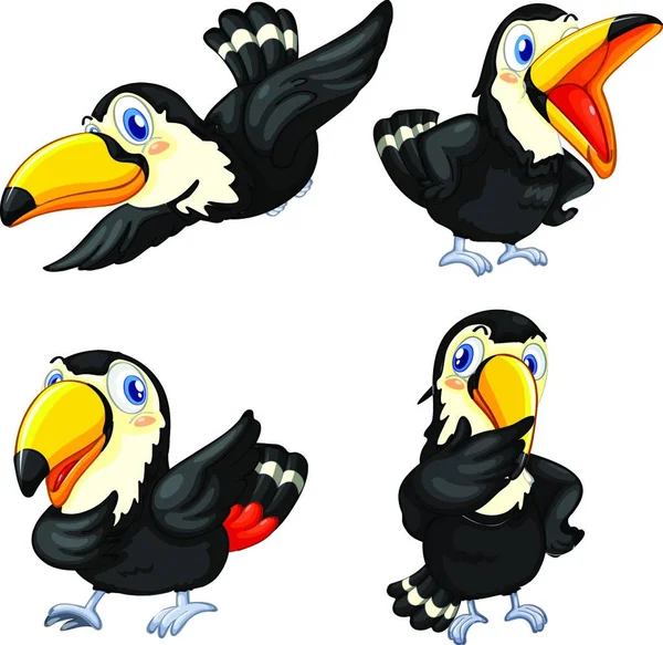 Toucan Fågel Serie Grafisk Vektor Illustration — Stock vektor