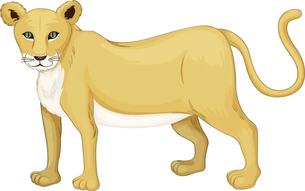 Lioness Graphic Vector Illustration — Stock Vector