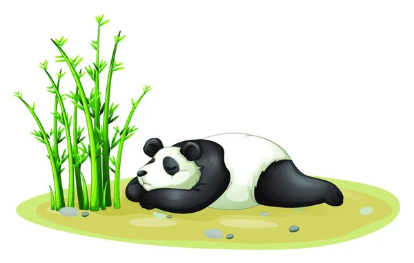 Panda Illustrazione Vettoriale Colorata — Vettoriale Stock