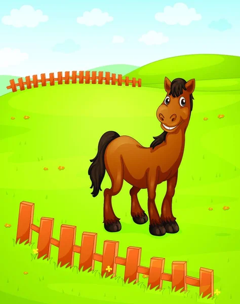 Obrázek Koně — Stockový vektor