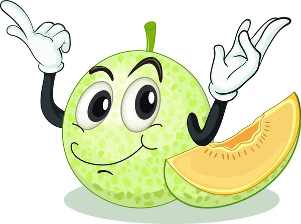Ilustracja Piżmowego Melona — Wektor stockowy