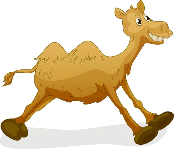 Desenho Animado Camelo Vetor Ilustração — Vetor de Stock
