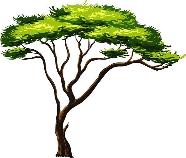 Африканское Дерево Веб Простая Иллюстрация — стоковый вектор
