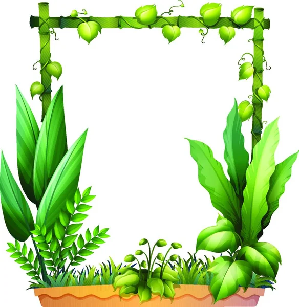 Ilustrace Zelených Rostlin — Stockový vektor