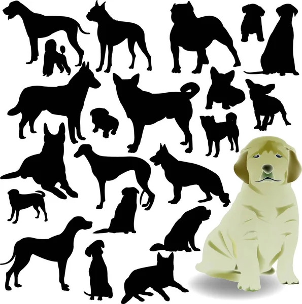Комплект Собак Векторная Иллюстрация Простая Конструкция — стоковый вектор