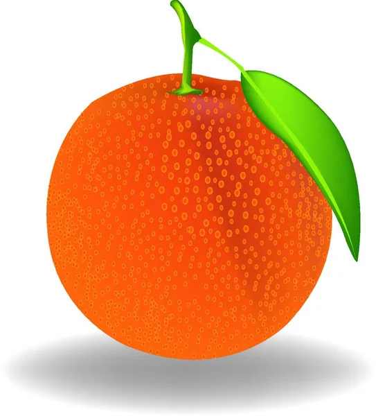 Orange Illustration Vectorielle Design Simple — Image vectorielle