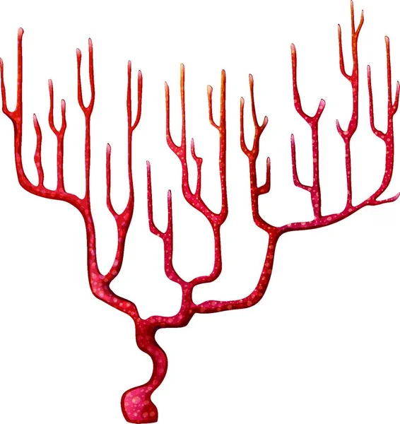 赤珊瑚ベクトル図シンプルなデザイン — ストックベクタ
