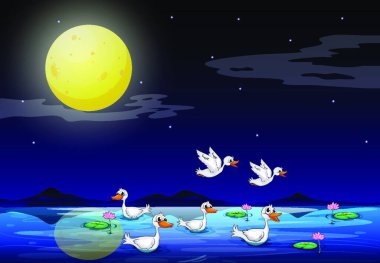 ördek gölet bir ay ışığı manzarası