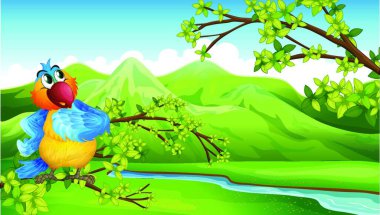 Yüksek dağların önünde papağan