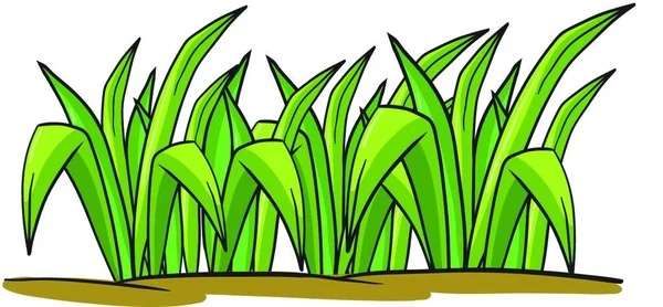 Gras Vektorillustration Einfaches Design — Stockvektor