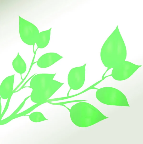Зелене Листя Тумані Векторні Ілюстрації Простий Дизайн — стоковий вектор