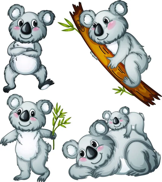 Gruppo Koala Illustrazione Vettoriale Design Semplice — Vettoriale Stock
