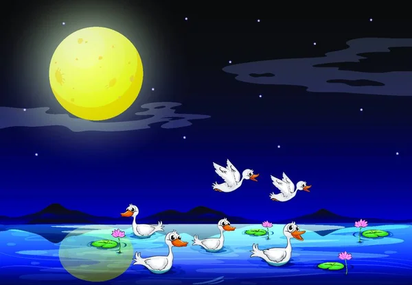 鸭在池塘在月光下风光 — 图库矢量图片