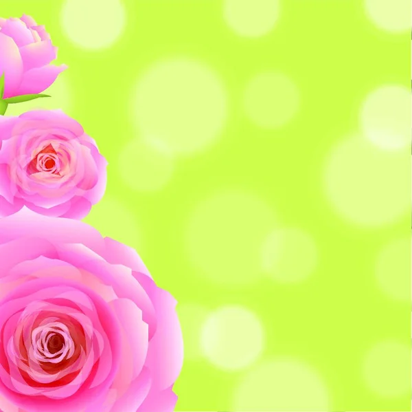 Roze Roos Met Bokeh Vector Illustratie Eenvoudig Ontwerp — Stockvector