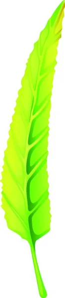 Green Elongated Leaf Vector Illustration Simple Design — Stock Vector