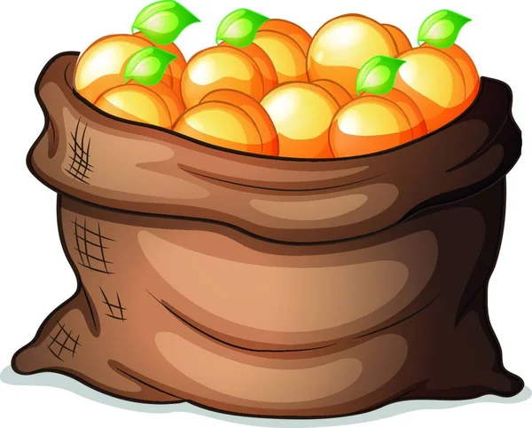 Sack Oranges Vector Illustration Simple Design — Stock Vector