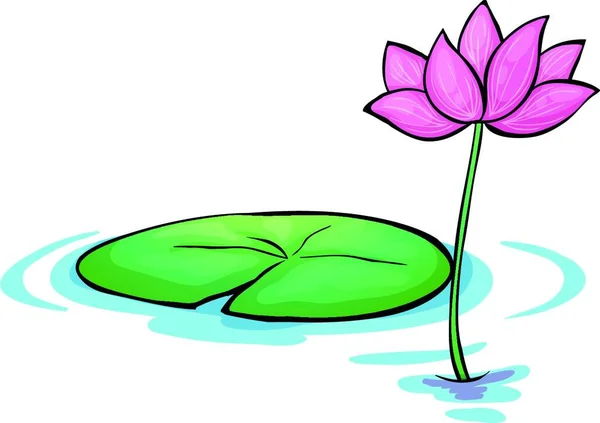 Water Lily Flower Vector Illustration Simple Design — Stock Vector