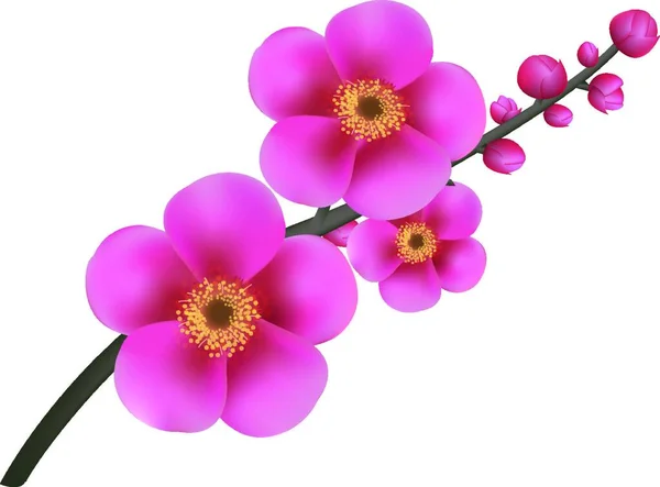 Όμορφη Floral Φόντο Διανυσματική Απεικόνιση — Διανυσματικό Αρχείο