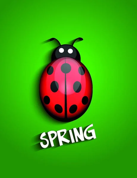 Ladybug Vector Illustration Simple Design — Stock Vector