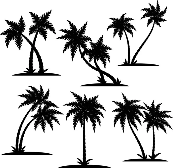 Illustratie Van Palm Silhouet Set — Stockvector