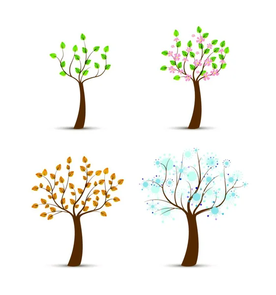Four Seasons Colored Vector Illustration — Stock Vector