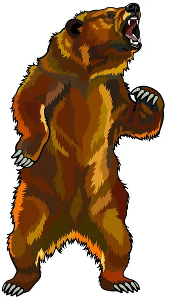 Сердитий Ведмідь Веб Проста Ілюстрація — стоковий вектор