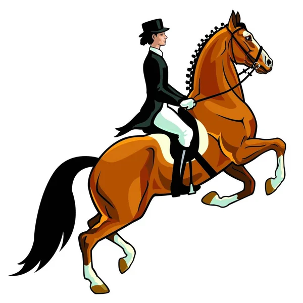 Dressage Rider Illustrazione Vettoriale — Vettoriale Stock