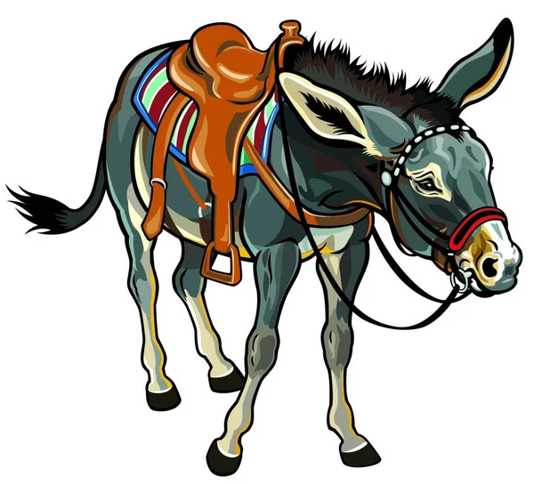 Donkey Saddle Vector Illustration — стоковый вектор