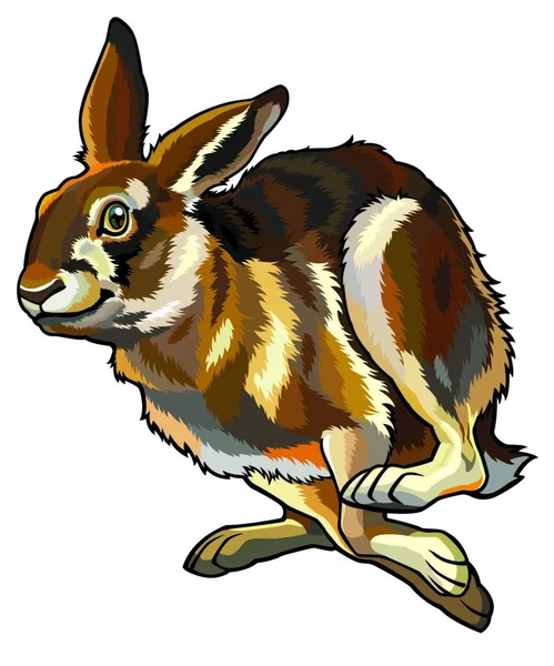Running Hare Vector Illustration — Stock Vector