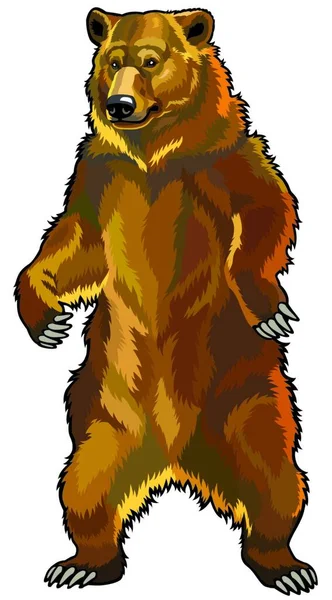 Orso Grizzly Web Semplice Illustrazione — Vettoriale Stock