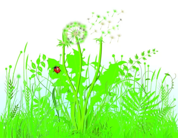 Gras Und Wiesenvektorillustration — Stockvektor