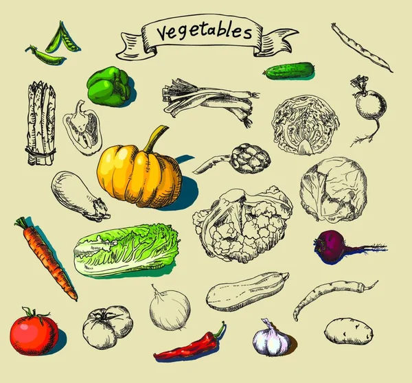 Вручну Пофарбовані Овочі Графічна Векторна Ілюстрація — стоковий вектор