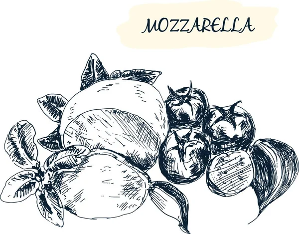 Mozzarella Ilustración Vectorial Gráfica — Archivo Imágenes Vectoriales