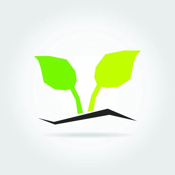 Ikona Rośliny Pajęczyny Ilustracja Wektora — Wektor stockowy