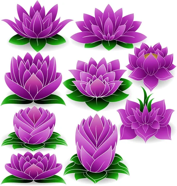 Ilustrace Lotus Colored — Stockový vektor