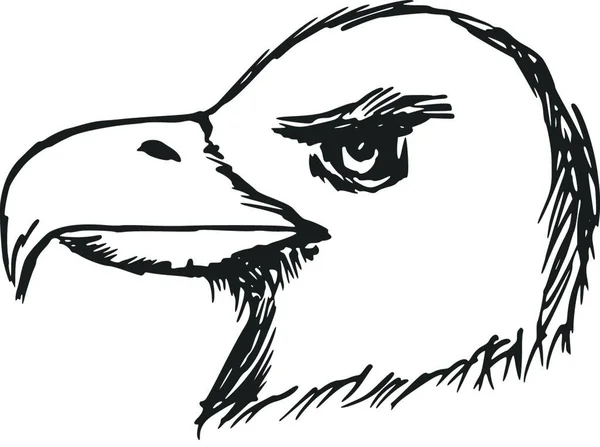 Illustration Des Amerikanischen Weißkopfseeadlers — Stockvektor