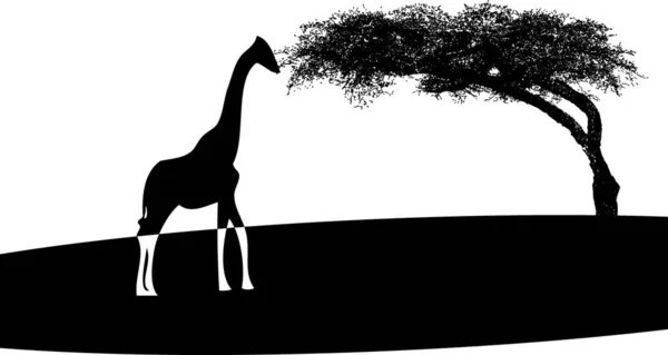 Illustration Symbole Savane — Image vectorielle