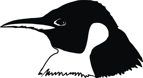 Векторная Иллюстрация Значка Пингвина — стоковый вектор