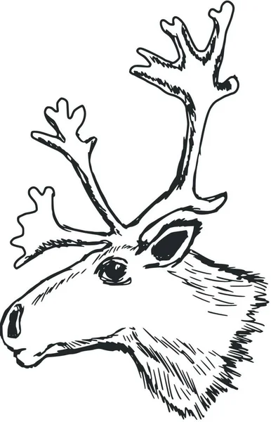 Reindeer Web Simple Illustration — Stock Vector