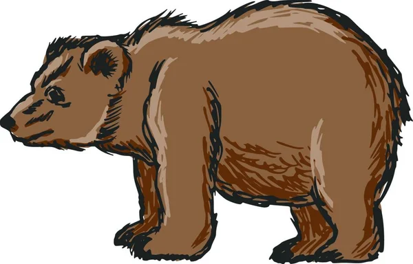 Ведмідь Веб Проста Ілюстрація — стоковий вектор