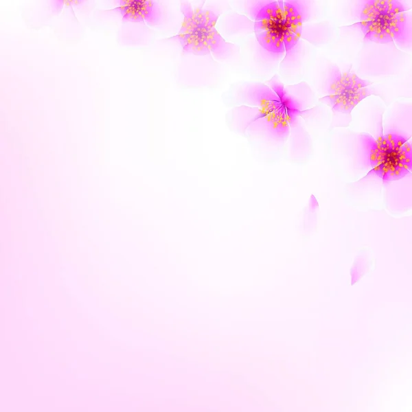 Beautiful Flowers Background Vector Illustration — Stock Vector