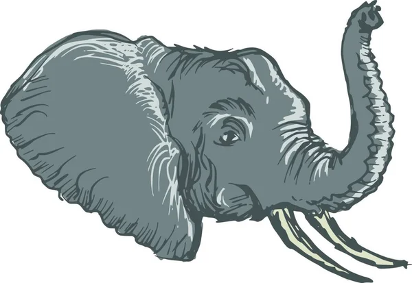 Illustration Des Elefanten — Stockvektor