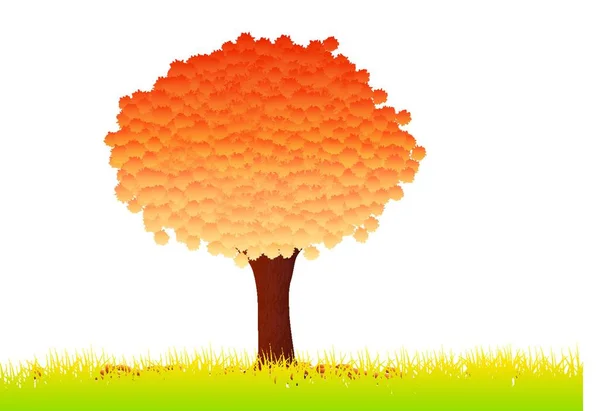美しい木のイラスト — ストックベクタ
