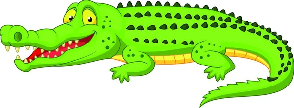 Krokodýl Kreslené Vektorové Ilustrace — Stockový vektor