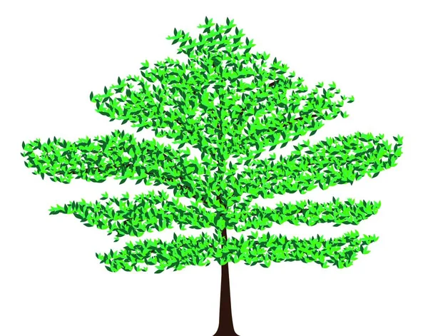 Yeşil Vektör Ağacı Renkli Vektör Illüstrasyonu — Stok Vektör