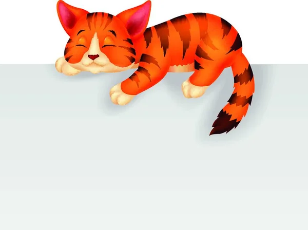 Lindo Gato Durmiendo Vector Colorido Ilustración — Archivo Imágenes Vectoriales