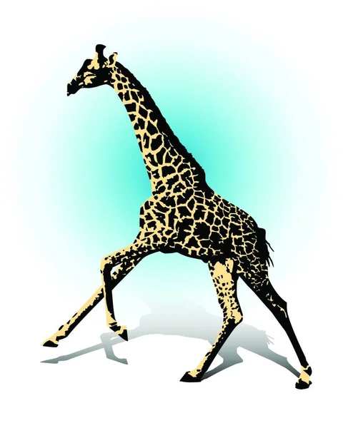 Красочная Векторная Иллюстрация Жирафа — стоковый вектор